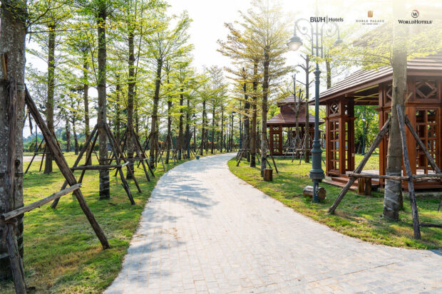 650216607 1334803358680739 7090529557684072761 n