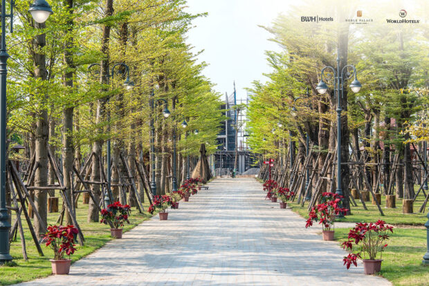 650224632 1334803355347406 1491726910303266725 n