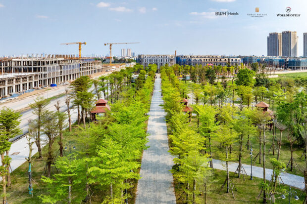 651539078 1334803055347436 1393355412383662459 n